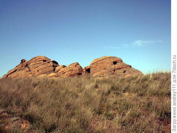 Они смотрят в небо.