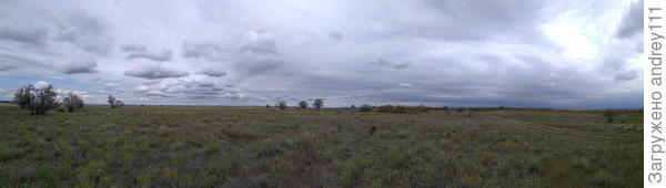 За полчаса до дождя.