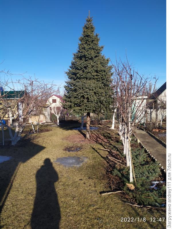 Даже успел на дачу съездить!