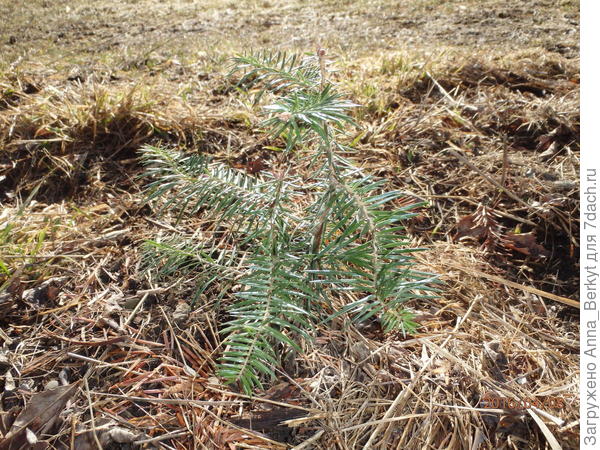 до переезда