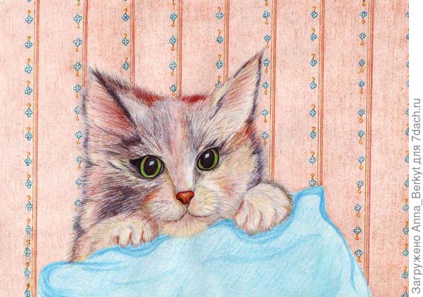 Кот Митька (акв.кар, бум. 2012)