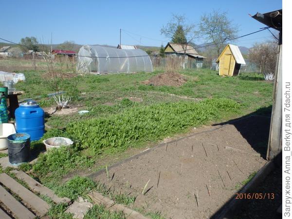 5. возле дома разбила грядку для Лилии и Гладиолусов