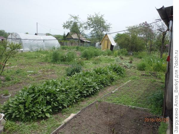 16. туалет, тепличка, задумки