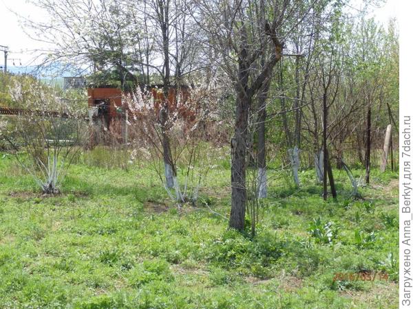 4. круги и побелка