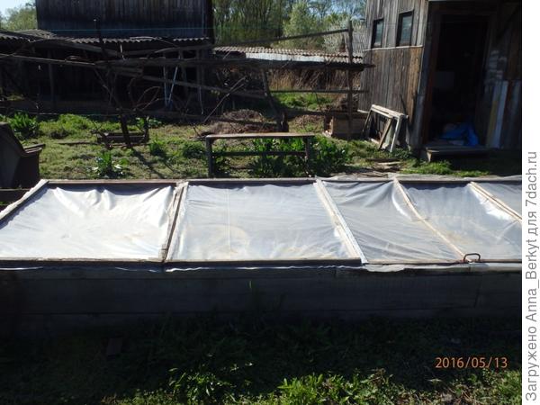 11. большой парник