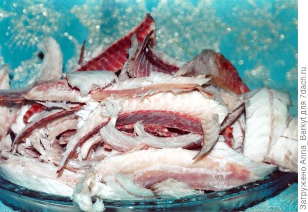 а это строганина из чира