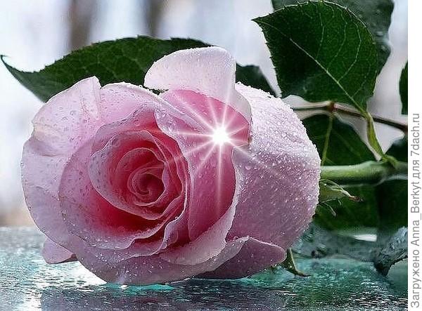 Поздравляю!