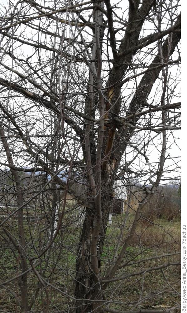 7. тот же вид, только ближе, средняя часть