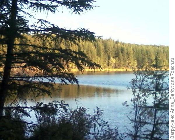 На озере (Крайний север, август)