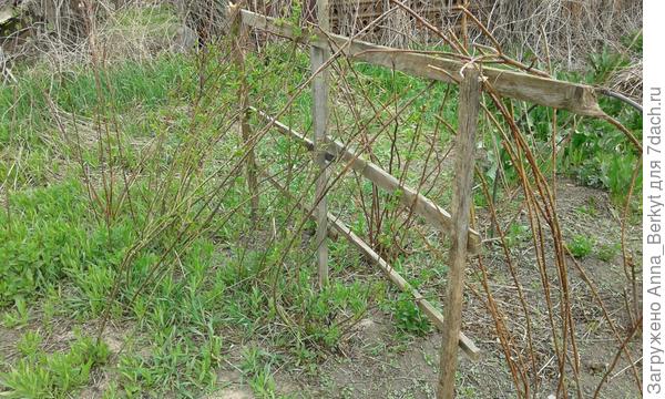 вот, удалось сколотить какую-то опору