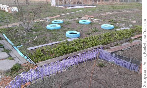на центральном цветнике уложила шины, покрасила