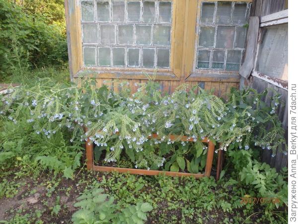 потом ещё кой-какую опору им сделала и они неплохо закрыли неприглядность