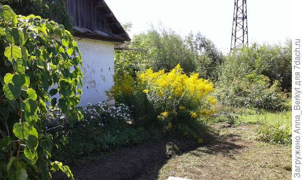вид со стороны дорожки