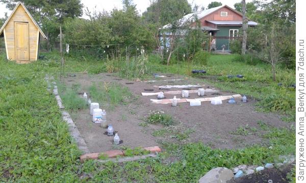 общий вид от центрального цветника
