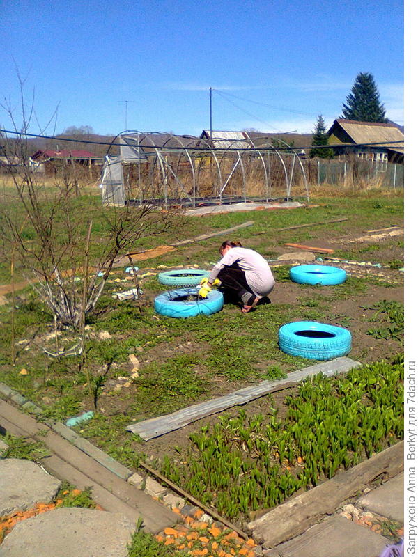 здесь она ещё мало наросла, поэтому лучше видно