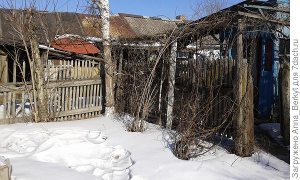 это угол для одной из роз, рядом с которой будут расти Тсуга и стелющийся можжевельник