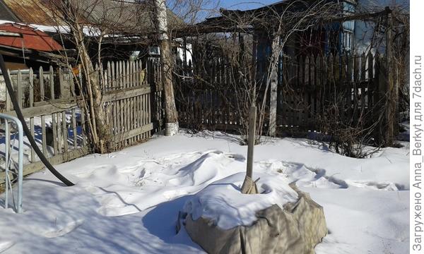 тот же угол (взгляд от ёлочки)