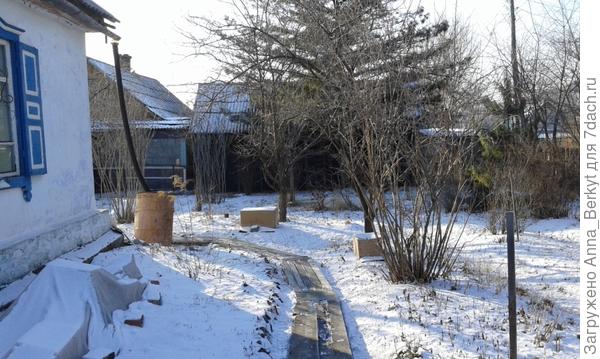перед домом разбит цветник, куда я высадила часть цветов