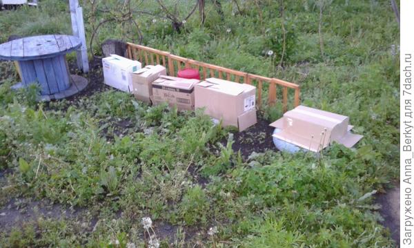 салат с аквилегией