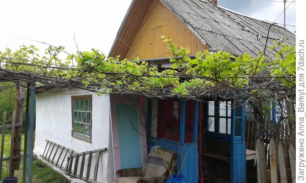 вид со стороны