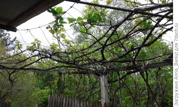 здесь видно, натянута проволока