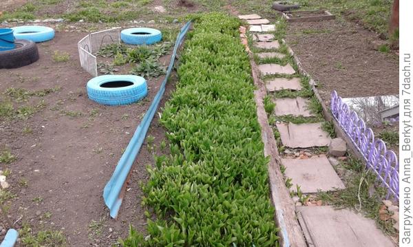 здесь она наростает...