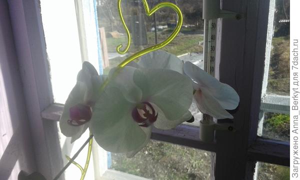 Это для вас!