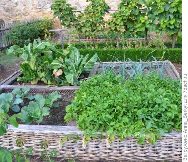 очень понравилось с плетнем, но у нас такие долго не простоят