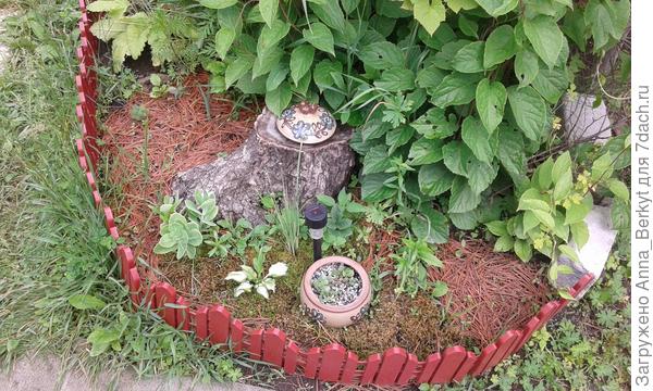 вот, одна из композиций, которая украсила, как мне кажется, заполнила собой пустое место на повороте... растюшки пока ещё не очень разрослись (это в июне)