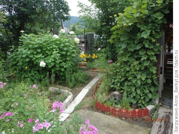 вот, общим планом хорошо виден поворот