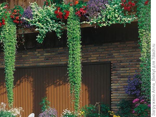 мне очень нравится она