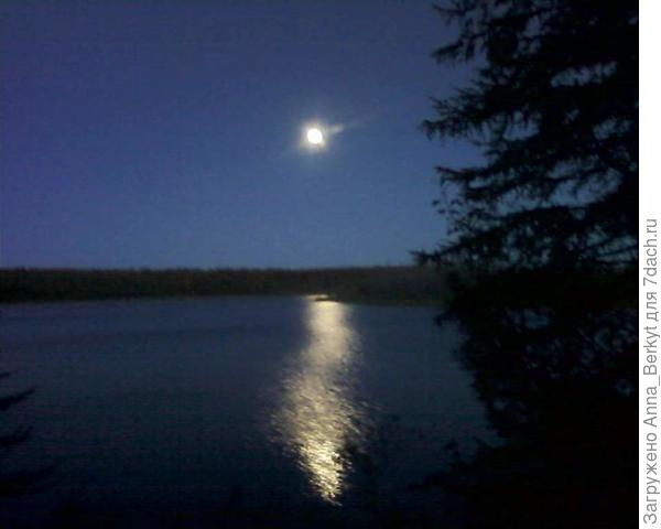 лунная дорога