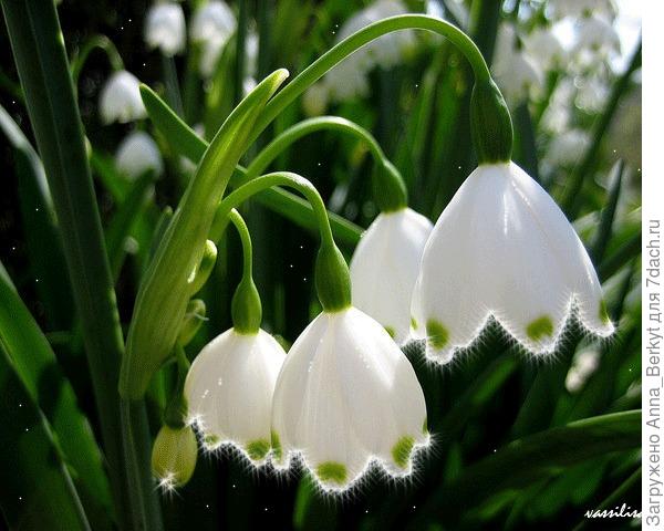 с весной тебя!!! ))