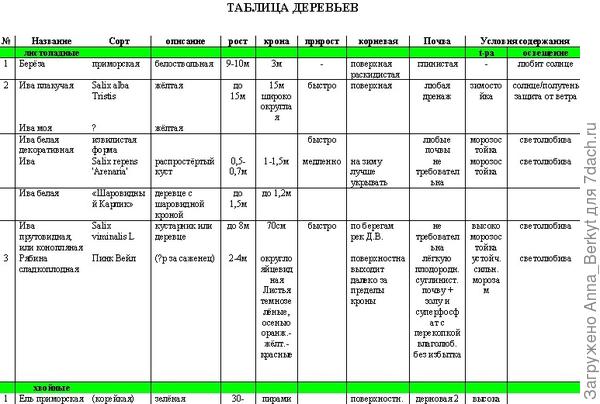Пришла к пониманию необходимости упорядочить и систематизировать информацию, и начала составлять таблицы растений (деревьев, кустарников, цветов), которые ещё в процессе заполнения
