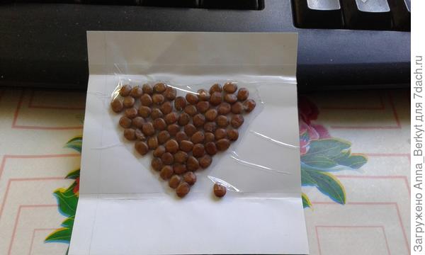 Сердечко семян :)