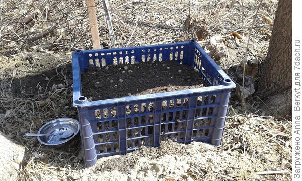 рассадный ящик