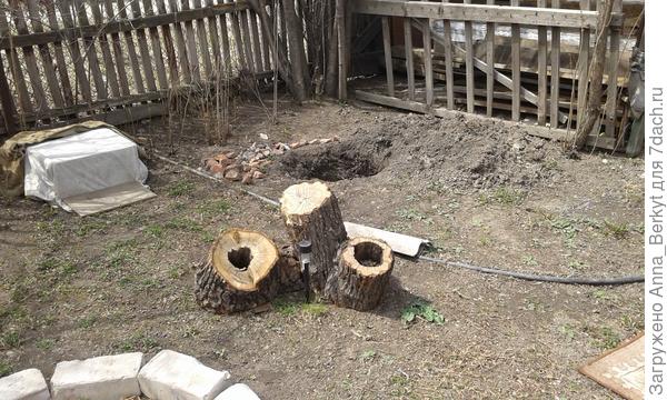 в конце апреля купила я два саженца - тую и спирею... подготовила посадочные ямы... но о посадках будут отдельные посты