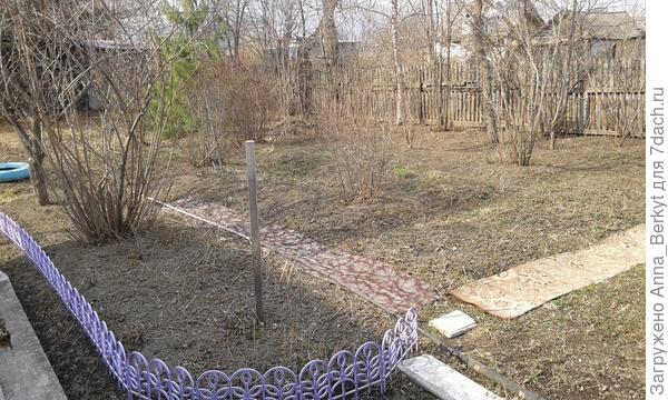 заборчик свой поставила... хватило на переднюю часть цветника, который напротив домашнего цветника, получается, через дорожку