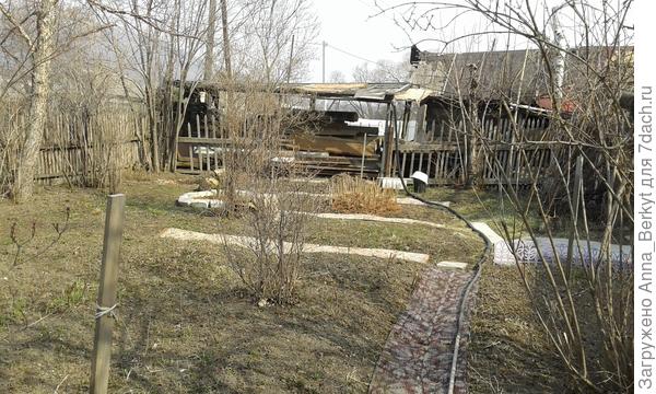вид на западную часть сада (что выше на фото уже показана) издалека, почти от сосны