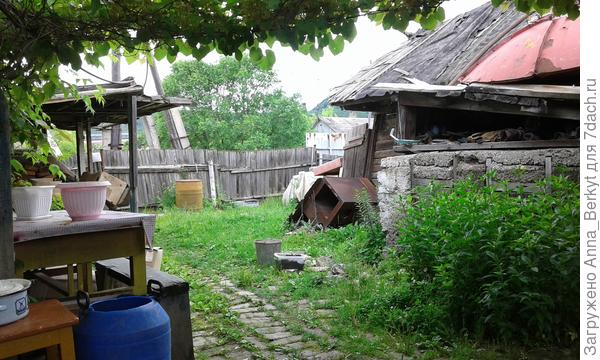 техническая часть двора, вид от калитки до крыльца... возле каменной будки поднялись флоксы, лилии и др.
