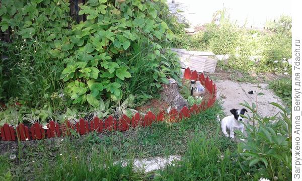 но, не долго он был у меня, пришлось отдать добрым людям, с которыми они подошли идеально по характерам