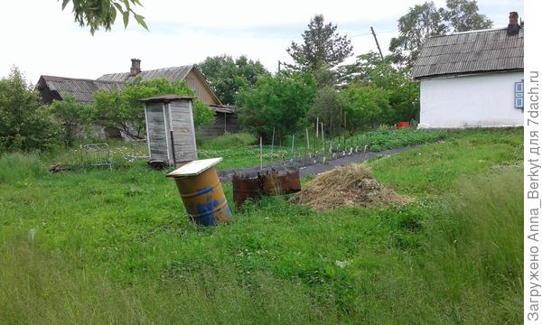 чуть левее вид, с захватом плодового сада, который там был