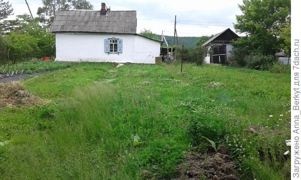 вид на дом от конца участка