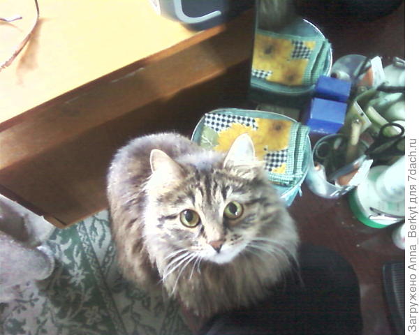 смотрите, какие у неё всегда внимательные глаза