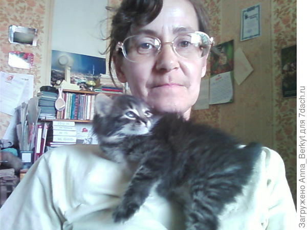 её любимые места - на плече или на груди