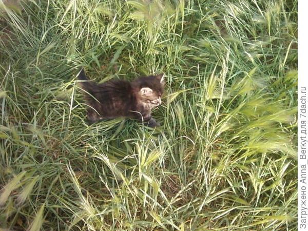 её первая прогулка