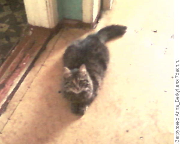 здесь она уже стала большой красавицей