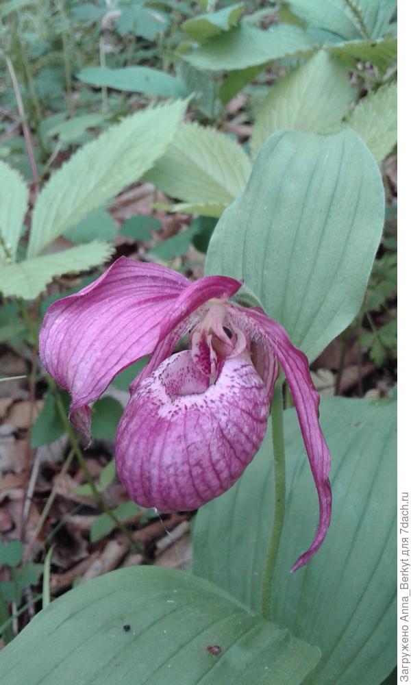 Приморский привет вам! ))