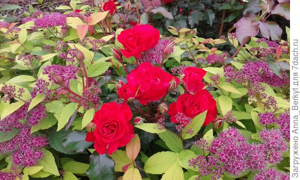 это вам, мои хорошие )))