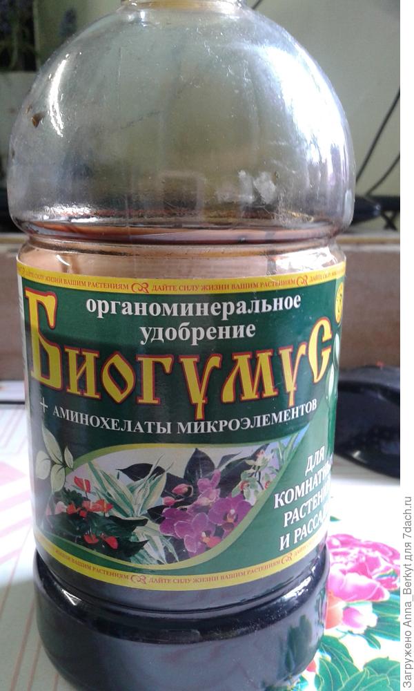 Вот такой биогумус